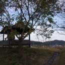 은수포낚시터 이미지