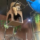 호텔시에나 | 파주 호텔 가족 호텔 추천 야당역 호텔시에나 아이랑 숙박 후기