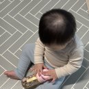 퍼피톡 | 모윰 원터치 빨대컵 퍼피 에디션 솔직 후기