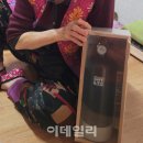 세이프라이프