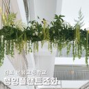 행잉플랜트조화 그린스쿨 프로젝트 김포 온유고등학교