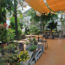 교촌농장 이미지