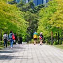 세상 살이 이미지
