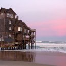 행복한개 이미지