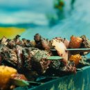 초원골프 이미지