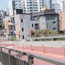 응달말로 | 📍 구리 젤라스킨 다닷 SMP 정수리 다산두피문신 한달 후기 (리얼)