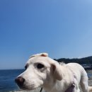 해림민박 이미지