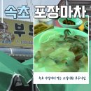 속초 야장 포장마차 부두식당 오징어 회 먹고 왔어요.