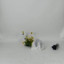 화인꽃프라자 - 성남시 수정구 수정로171번길 10 | [속초] 사진관 추천, 기념일 촬영, 아기 200일 촬영, 아기 해녀스냅 '스튜디오 시니스냅'