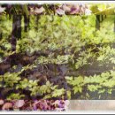 다다 태양광 | 내돈내산 고주파뷰티디바이스 추천 갈바닉 장단점 후기