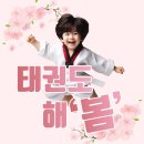 비타민태권도 이미지