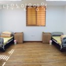 중앙로 느티나무길 이미지