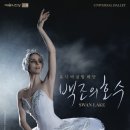 백조의호수