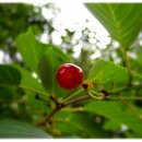 당신있어좋은세상 이미지