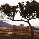 창선생활체육공원2 이미지