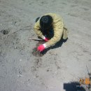 산해농장 이미지