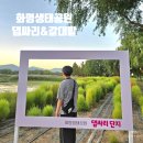 금정구푸드마켓 | 화명생태공원 댑싸리 위치, 주차 아이랑 잔디밭 공놀이