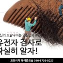 코모리치 증모후기 유전성 남성탈모도 풍성~ 자신있게!