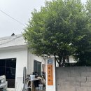 [제주 숙소] 제주도 조용한 게스트하우스 산방산점