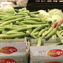 오이축산 이미지