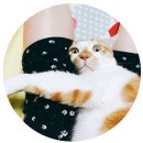 교촌 은평뉴타운점 이미지