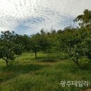 감돈축산 이미지