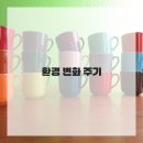 고양이 행복 쉼터 이미지