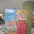 용인어린이상상의숲 공연놀이터 | 용인어린이상상의숲 공연놀이터 어린이국악뮤지컬 동물원에 간 고양이 Feat. 쇼케이스, 티켓팅방법...