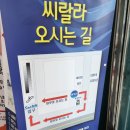 서울파크 | 서울 실내워터파크 씨랄라 후기 오후권 가격 주차 필수 준비물까지