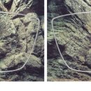 DIO안경원 이미지