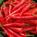 성골 농원 이미지