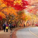 (주)동화사