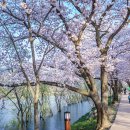 보문호반길 이미지