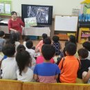 제주남초등학교 병설유치원 이미지