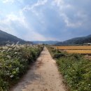 팔조리 | 고향 찾기, 양지마을에서 음지마을로