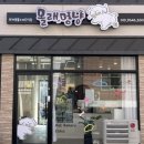 몰래멍냥 이미지