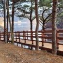 비학농원 캠핑장 이미지