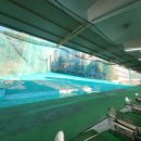 용현골프연습장 이미지