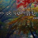 오래 기다려 함양 상림의 가을을 품에 안다. / edmond us 이미지