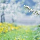 참좋은인연 - 북구 금곡동 | 참좋은인연