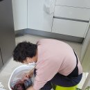 신금자 | 중랑구산후도우미 중랑구산모도우미 신금자 선생님을 칭찬합니다