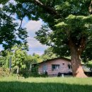 객현1리 이미지