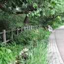 남산화원 - 중구 퇴계로 179 | 남산화원