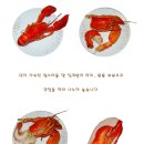 랍스타치즈구이 이미지