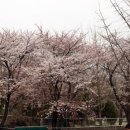 염광유치원 이미지