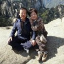 (주)고려산기
