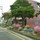 일주동로 이미지