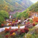 인산로 네이버블로그
