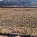 축동농장 이미지