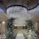 경복궁웨딩컨벤션홀 건너편 | 웨딩일기 #1. 웨딩홀(W웨딩VS다이렉트웨딩_더에스 계약완료)